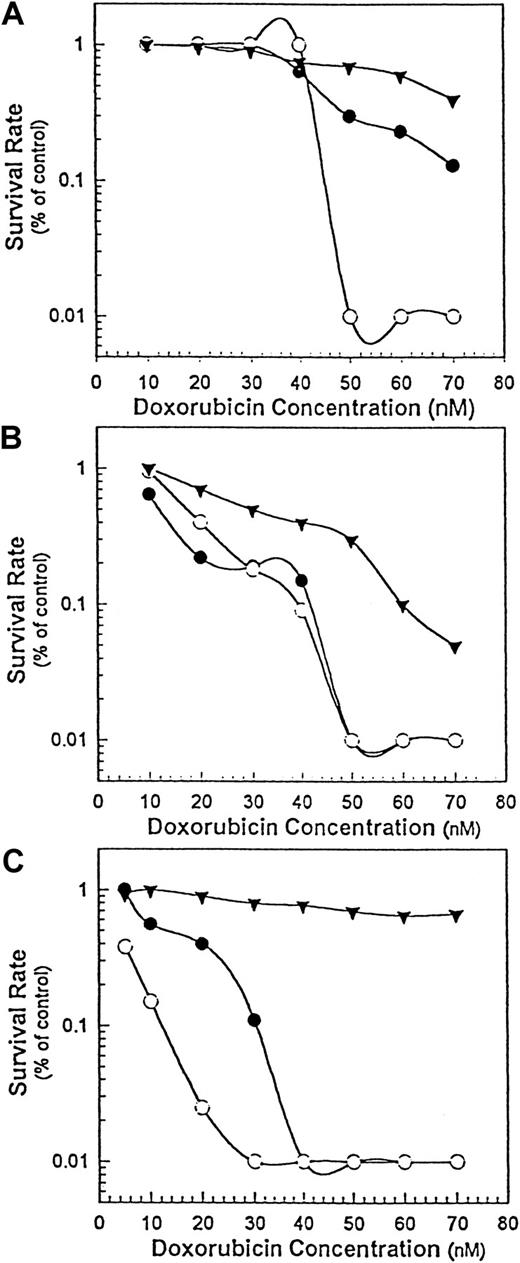 Fig. 5. The chemosensitization of B-lymphoma cells by Rituxan homodimers. / The cytotoxic effect of doxorubicin alone (▾) or doxorubicin in combination with Rituxan monomers (●) or homodimers (○) at 20 μg/mL was determined by means of 3 cell lines: DHL-4 (panel A), Namalwa (panel B), and Namalwa/MDR1 (panel C). Cells at 5 × 104 cells per well in 100 μL were plated in 96-well plates, and various concentrations of doxorubicin (1 to 70 nM) alone or in combination with a constant noncytotoxic concentration of Rituxan (20 μg/mL) were added in 100 μL media in triplicate wells. The plates were incubated for 24 hours, pulsed with3H-thymidine, and then harvested. Rituxan alone (data not shown) had no effect. This is 1 of 2 experiments carried out.