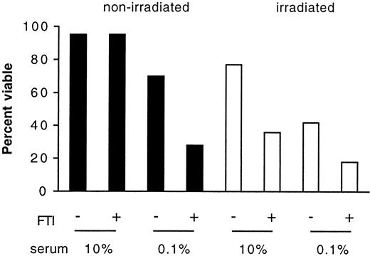 Fig. 4. SCH66336 caused significant reductions in the viability of BCR/ABL-BaF3 cells grown in low serum and after irradiation. / Viability of BCR/ABL-BaF3 cells was assessed by trypan blue exclusion after 48 hours of growth under the conditions specified. Black bars represent cells that were not exposed to gamma irradiation; white bars indicate those that were irradiated. Viability of BCR/ABL-BaF3 cells grown in 0.1% serum plus 500 nM SCH66336 was significantly reduced from that of BCR/ABL-BaF3 cells grown in 0.1% serum without SCH66336. After irradiation, SCH66336 treatment reduced viability in BCR/ABL-BaF3 cells grown in both 10% and 0.1% serum.