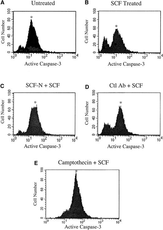 Fig. 4. Inhibition of c-kit signaling induces apoptosis in MO7E cells. / MO7E cells were quiesced by serum starvation overnight in medium containing 0.1% FBS and were untreated (A) or treated with 100 ng/mL SCF (B), SCF plus an SCF-neutralizing antibody (SCF-N) (C) or an isotype control E-cadherin antibody (Ctl Ab) (D), or camptothecin (E). At 24 hours, samples were stained with PE-conjugated antiactivated caspase-3 antibody and quantitated by fluorescence-activated cell sorter analysis. The asterisk indicates the apoptotic population.