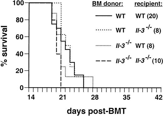 Fig. 2. IL-3 does not contribute to induction of CML-like disease by. / BCR/ABL. Kaplan-Meier–style survival curve for recipients of marrow transduced with p210 BCR/ABL. The genotypes of donor and recipient are indicated by the dashed lines; all mice were of Balb/c background. The number of recipients in each arm is shown in parentheses. All recipients developed typical CML-like leukemia (see text). Omission of recombinant IL-3 from the prestimulation and transduction medium had no effect on leukemogenesis (data not shown). The curve with wild-type donors and recipients is a composite of previously reported mice6 and additional mice transplanted concurrently with the Il-3 andGm-csf mutant mice. There were no significant differences in survival between wild-type (WT) recipients of transduced WT marrow and transplants where either donor or recipient wasIl-3−/− (P = .65, Mantel-Cox test), whereas the survival of Il-3−/− mice transplanted with Il-3−/− marrow was significantly shorter (P = .01).
