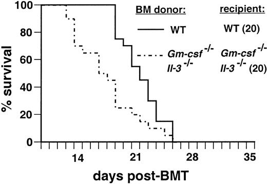 Fig. 7. Lack of redundancy between IL-3 and GM-CSF in pathogenesis of. / BCR/ABL-induced CML-like leukemia.Kaplan-Meier–style survival curve for recipients of marrow transduced with p210 BCR/ABL. The genotypes of donor and recipient are indicated by the dashed lines; all mice were of Balb/c background. The number of recipients in each arm is shown in parentheses. Several double-knockout mice transplanted with BCR/ABL-transduced double-knockout marrow failed to engraft at a lower cell dose (see text) and were not included on the curve. The survival of double-knockout recipients of double-knockout–transduced marrow was significantly shorter than that of the wild-type mice (P = .005, Mantel-Cox test).