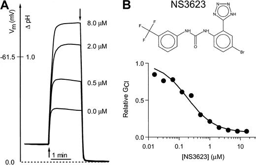Fig. 1. Inhibition of the human RBC Cl-conductance by NS3623. / (A) CCCP-mediated pH changes and the corresponding RBC membrane potentials (ordinate axis) recorded on incubation of human RBCs with a valinomycin concentration of 50 nM (addition at first arrow) and increasing concentrations of NS3623 (0, 0.5, 2.0, and 8.0 μM). Experiments were terminated by the addition of TX-100 (second arrow) to determine the intracellular pH, which corresponds to a membrane potential of 0 mV. Hematocrit, 1.6%, 37°C. (B) Chemical structure of NS3623 and normalized Cl-conductances versus the concentration of NS3623. The curve represents the best fit to a Hill-type equation.