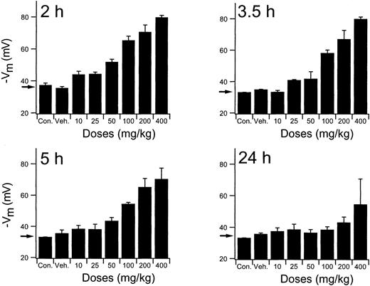 Fig. 5. In vivo persistence of NS3623 induced gCl-block. / Inhibition of erythrocyte Cl-conductance by NS3623 at varied doses (10-400 mg/kg) and times (2-24 hours), as indicated on the individual curves, after PO administration of NS3623 to normal mice. Protocol as in Figure 3. Con, control mice; Veh, Cremophore. Individual columns represent hyperpolarizations of RBCs from 3 mice, mean ± SD. Arrows show the hyperpolarization at normal chloride conductance (mean of control hyperpolarizations).