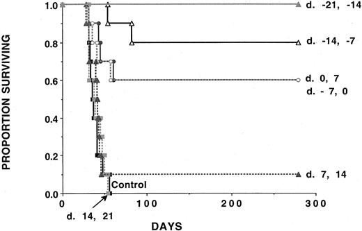 Fig. 5. Irradiated AML cellular vaccines are ineffective against AML challenge if initiated after challenge with a lethal dose of AML cells. / Cohorts of naive B6 mice (n = 10 per group) received either 2 doses of irradiated AML cells (107 per mouse) administered subcutaneously 1 week apart beginning at time periods ranging from day −21 to day +14 relative to C1498 challenge (105 cells per mouse) on day 0. In each group, 10 mice were analyzed. A Kaplan-Meier survival plot shows days post–lethal C1498 challenge (day 0) on thex-axis and the proportion of mice surviving on they-axis. The actuarial survival rate of AML-vaccinated recipients that had AML vaccines initiated at time periods ranging from days −21 to +0 was significantly higher (P ≤ .0025) than the control animals or animals receiving AML vaccines initiated after this time. There was no survival advantage to mice that were given C1498 vaccines initiated on days +7 or +14 relative to C1498 challenge (P ≥ .27).