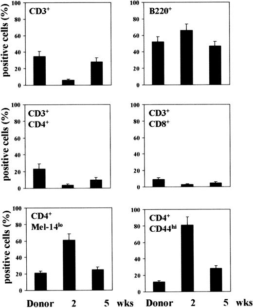 Fig. 1. Phenotypic analysis of splenic lymphocytes following T-cell–depleted allogeneic BMT. / Lethally irradiated C3H/HeJ mice each received a transplantation with ≥ 2 × 106 T-cell–depleted allogenic BM cells from CD2F1 mice a number of weeks before phenotypic analysis. Splenocytes were reacted with FITC-conjugated anti-CD3, anti-CD45R/B220, anti-CD4, or anti-CD8 mAbs or, for double-staining, with FITC-conjugated anti-CD4 mAb followed by PE-conjugated anti-CD44 or anti–L-selectin (clone MEL-14) mAb. Cells were analyzed with a FACScan flow cytofluorometer, and the data were expressed as percentage of positive cells over total cells analyzed.