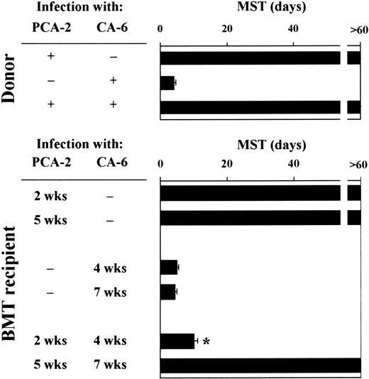 Fig. 2. Susceptibility to primary or secondary disseminatedC albicans infection following T-cell–depleted allogeneic BMT. / For primary infection, BMT recipient mice were infected intravenously with 106 low-virulent PCA-2 C albicans or high-virulent CA-6 at different weeks after transplantation. For secondary infection, PCA-2–infected mice were reinfected with 106 virulent CA-6 C albicans 2 weeks after the primary infection. MST indicates median survival time in days. *Indicates P < .05 (BMT mice vs donor mice).