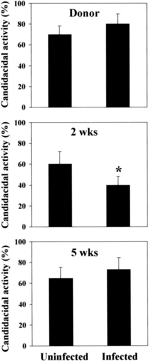 Fig. 5. Candidacidal activity of neutrophils following T-cell–depleted allogeneic BMT. / Peripheral blood neutrophils were obtained from donor CD2F1 or recipient C3H/HeJ mice and irradiated and reconstituted as in Figure 1legend. Mice were either uninfected or infected with PCA-2 at different weeks after transplantation and reinfected with CA-6 as in Figure 2legend. Three days after reinfection, neutrophils were assessed for ability to kill yeast cells, as described in “Material and methods.” *Indicates P < .05 (BMT mice vs donor mice).