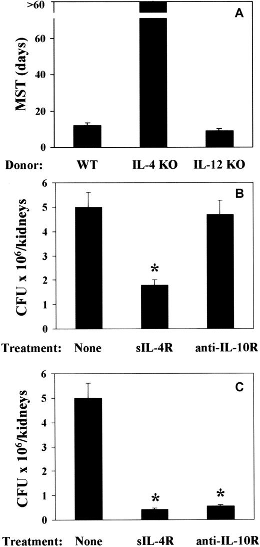 Fig. 7. Effect of ablation of TH2 cytokines on resistance toC albicans in mice with T-cell–depleted allogeneic BMT. / Recipient C3H/HeJ mice were irradiated and reconstituted with T-cell–depleted BM from IL-4– or IL-12p40–deficient (IL-4 KO and IL-12 KO, respectively) as well as (A) wild-type (WT) mice or as in Figure 1 legend. Two weeks later, mice were intravenously infected with low-virulent PCA-2 C albicans and reinfected with 106 virulent CA-6 C albicans cells 2 weeks after the primary infection. Treatments with sIL-4R or anti–IL-10R mAb were done at the time of (B) BMT or (C) primary infection. MST indicates median survival time in days; CFUs, a week after reinfection; none, vehicle alone. *Indicates P < .05 (BMT mice vs donor mice).