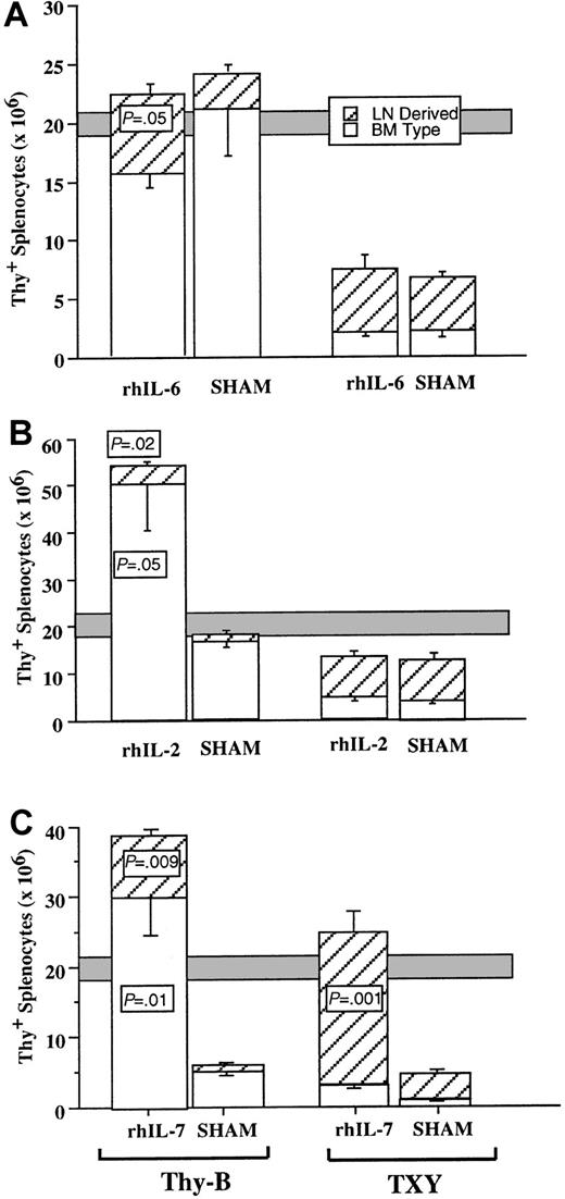 Fig. 2. Effect of cytokine administration on T-cell regeneration after BMT. / Animals underwent BMT as described in “Materials and methods” and received the cytokines as a continuous subcutaneous infusion at the doses and times noted for each panel. Open boxes represent BM-type cells (Thy 1.2) and hatched boxes represent LN-derived (Thy 1.1+) cells as quantitated by flow cytometry. Shaded bar represents approximate range Thy+ cells in normal, non-BMT hosts. Unpaired comparisons between groups were performed using the Mann-Whitney test. (A) rhIL-6 20 μg/d day −1 to day 27 following BMT, analysis on day 28. Thymus-bearing IL-6–treated mice showed marginally statistically significant increases in LN-derived cells (P = .05) but no significant change in Thy 1.2+ cells (P = .14). No significant differences were noted in thymectomized mice with or without rhIL-6. (B) rhIL-2 30 000 IU/d days 28 to 42 after BMT, analysis on day 42. Thymus-bearing IL-2–treated mice showed marginally statistically significant increases in BM-type Thy 1.2+cells (P = .05), and an increase in Thy 1.1+LN-derived cells (P = .02). No significant differences were noted in thymectomized mice. (C) rhIL-7 5 μg/d days 14 to 28 after BMT, analysis on day 28. Thymus-bearing rhIL-7–treated mice showed statistically significant increases in BM-type Thy 1.2+ cells (P = .01) and LN-derived cells (P = .009). Thymectomized IL-7 recipients also had significant increases in Thy 1.1 LN-derived cells (P = .001). SEs of the mean are shown by error bars.