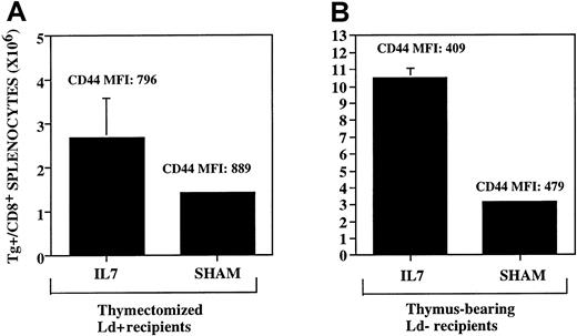 Fig. 3. IL-7 up-regulates both antigen-driven peripheral expansion and thymic-dependent T-cell regeneration. / The rhIL-7 was administered where indicated via continuous infusion subcutaneous pump at a dose of 5 μg/d from days 14 to 28 after BMT. Both panels show the number of splenic TCR Tg+CD8+ cells present on day 28 as determined using flow cytometry. MFI denotes mean fluorescence intensity of CD44 expression on the TCR Tg+ cells. (A) Thymectomized B6D2F1 hosts (Ld+) underwent syngeneic BMT as described in “Materials and methods.” LNs derived from the 2C Tg+/TCR mice were administered on day 0 at a dose of .03 × 105 LN cells/mouse. (B) Thymus-bearing C57Bl/6 mice (Ld−) underwent BMT using T-cell–depleted BM from 2C Tg+/TCR mice as described in “Materials and methods.” No LN cells were administered. Mice treated with rhIL-7 show significant increases in the number of TCR Tg+ cells in both panels (P = .05, left panel, and P = .003, right panel). SEs of the mean are shown by error bars.