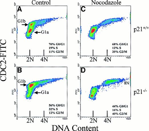 Fig. 1. Expression of cdc2 and cell cycle arrest of T lymphocytes after MTD. / Scatter density diagrams of bivariate (cdc2/DNA) cell cycle analysis of activated T lymphocytes from wild-type mice (p21+/+; A,C) and p21 knockout mice (p21−/−; B,D) are shown. After activation, cells were treated for 24 hours with 15 μg/mL nocodazole (C,D) or control diluent (A,B). 2N (G0/G1) and 4N (G2/M) DNA content is indicated along with the percentages of cells in different cell cycle phases. Data are representative of at least 2 replicate experiments from 6 sets of mutant mice and their wild-type littermate controls.