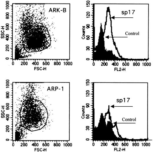 Fig. 2. Expression of Sp17 protein on the surface of 2 myeloma cell lines. / The expression of Sp17 protein (ARP-1, upper panel; ARK-B, lower panel) is demonstrated by flow cytometry (2-stage cell-staining technique). Rabbit Sp17 polyclonal antiserum was used to stain the cells. Phosphate-buffered saline was used as a control.