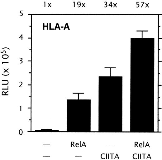 Fig. 2. NF-κB and CIITA-induced HLA-A transactivation. / Transient cotransfection assay of HLA-A promoter driven luciferase reporter constructs pGL3-A230 (1 μg/well) with pRSV0-RelA (1 μg/well), and/or pREP4-CIITA (0.5 μg/well) in Tera-2 cells. Normalized luciferase activity values are expressed as mean ± SD of n = 4. Stimulation indexes are indicated above the graph.
