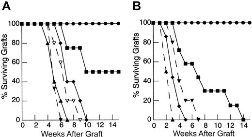 Fig. 1. Rejection of HY-disparate skin grafts via peripherally expanded lymph node cells is critically dependent on the size of the starting inocula. / (A) Adult thymectomized, C57BL/6 females were T cell depleted and grafted with male tail skin as described in “Materials and methods.” Primed cells were collected from the draining LN of T-cell–replete syngeneic female mice 3 weeks after successful male skin graft rejection, teased into a single-cell suspension, and injected via the tail vein 24 hours after skin grafting. Unprimed cells were collected from LN of T-cell–replete females naive to male antigen. Percent surviving grafts are shown as measured by visual inspection as described in “Materials and methods.” Thymectomized, T-cell–depleted mice (TXY/TCD mice) receiving 5 × 106primed LN cells are partially able to reject HY-disparate skin grafts (▪, n = 4) when compared to mice receiving no LN inocula (●, n = 5). When the LN cell dose is increased to 10 × 106, there is rejection in all mice but the rate of graft rejection remains delayed (♦, n = 5). At a dose of 25 × 106 LN cells (▴, solid line, n = 5), graft rejection occurs at a rate analogous to thymus-bearing control animals (▾, dashed line, n = 6) also receiving primed inocula. Note the modest effect of the primed inocula when this group is compared to thymus-bearing animals receiving an unprimed inocula (▿, dashed line, n = 5). (B) To assess primary immune responses, TXY/TCD mice were given graded numbers of LN cells from syngeneic females naive to male antigen via tail vein. The mice were then sensitized by intraperitoneal injection of 1 × 105 enriched male dendritic cells from male splenocytes as described in “Materials and methods.” These cells express B7-1, B7-2, CD11c, and major histocompatibility complex (MHC) class II and represent 50% to 60% of the cells injected in all experiments. Twenty-one days after LN cell transfer and enriched male dendritic cell sensitization, the mice were grafted with male tail skin as before and observed for rejection. As with the recall responses, mice receiving 1 × 106 naive cells were unable to reject HY-disparate skin grafts (●, n = 5). Administration of 10 × 106 naive cells led to graft rejection in all of the mice but at a delayed rate (▪, n = 7). Transfer of 25 × 106 LN cells (⧫, n = 7) completely restored responses so that rejection occurred at similar rate to thymus-bearing control groups receiving enriched dendritic cells (▴, dashed line, n = 6). Thymus-bearing control groups receiving no enriched dendritic cells (▾, dashed line, n = 5) required approximately 2 weeks longer to reject HY grafts.