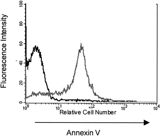 Fig. 2. Increased annexin V staining of peripherally expanding T cells. / TXY/TCD C57BL/6 (Thy 1.2) mice were injected with 10 × 106 congenic LN cells from B6 PL Thy-1a females (Thy 1.1). At 5, 11, and 21 days, mice were killed for flow cytometric analysis of apoptosis in Thy 1.1+ T cells. This figure is a representative histogram showing annexin V staining on Thy 1.1+ propidium iodide–negative splenocytes (gray line) at 11 days after an 18 hours incubation with concanavalin A compared to Thy 1.2+ splenocytes from thymus-bearing, T-cell–replete controls (black line) also incubated with con A for 18 hours. In a separate experiment there was no increased annexin V staining on Thy 1.2+ splenocytes from thymectomized T-cell–replete females when compared to sham thymectomized animals treated in the same manner (data not shown).
