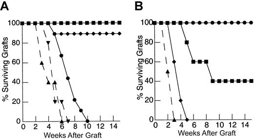 Fig. 3. Inhibition of programmed cell death by constitutive expression of hbcl-2 in peripherally expanding T cells restores recall responses to HY-disparate skin grafts at suboptimal inocula but fails to restore primary responses. / (A) TXY/TCD mice were reconstituted with 1 × 106 primed LN cells constitutively expressing hbcl-2 (●, n = 9) 24 hours after placement of a male tail skin graft. This resulted in restoration of HY-disparate skin graft rejection when compared to mice receiving unprimed hbcl-2 transgenic inocula (▪, n = 6) or primed cells from nontransgenic littermate controls (♦, n = 9). Primed hbcl-2 transgenic inocula did not enhance graft rejection in thymus-bearing controls (▾, dashed line, n = 5) when compared to primed inocula from nontransgenic littermate controls (▴, dashed line, n = 5,P = .49). (B) Reconstitution of TXY/TCD mice with 1 × 106 naive hbcl-2 transgenic LN cells followed by sensitization with enriched male dendritic cells does not restore rejection of HY-disparate skin grafts placed 3 weeks after cell transfers (●, n = 5). Titration of the inocula to 10 × 106 (▪, n = 5) and 25 × 106(♦, n = 5) leads to HY-disparate graft rejection at a rate comparable to thymus-bearing controls (▴, dashed line, n = 5) analogous to nontransgenic inocula (Figure 2B).