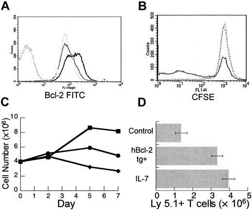 Fig. 4. IL-7 has diverse effects on mature T cells in vitro and leads to enhanced peripheral expansion in vivo. / Female C57BL/6 splenocytes were enriched for T cells using a positive selection column as described in “Materials and methods.” T-cell–enriched splenocytes were incubated in 24-well plates precoated with anti-CD3 at a suboptimal concentration of 0.1 μg/mL with or without rhIL-7 at 10 ng/mL. At days 2, 5, and 7, wells were harvested. Viable cells were counted with trypan blue exclusion and analyzed with flow cytometry. (A) By day 5 of culture, there is increased bcl-2 fluorescence intensity in cells incubated with rhIL-7 and stimulated by suboptimal anti-CD3 (heavy solid line) when compared to suboptimal αCD3 alone (gray dotted line) or media (light solid line). Isotype control shown as dark dotted line. (B) T-cell–enriched splenocytes were prelabeled with CFSE according to the manufacturer's instructions. At day 5, there is decreased CFSE intensity in a subset of T cells from wells incubated with suboptimal anti-CD3 in combination with rhIL-7 (solid line) when compared to suboptimal anti-CD3 alone or media only (dotted lines) indicating increased proliferation. Analogous results were obtained with H3 incorporation and the difference was not seen at optimal anti-CD3 stimulation (data not shown). (C) Incubation with suboptimal anti-CD3 and rhIL-7 (▪) results in increased viable T-cell number per well by days 5 and 7 compared to controls with suboptimal anti-CD3 (●) or media alone (♦). (D) TXY/TCD, C57BL/6 Ly 5.2 mice were injected intravenously with an inocula of 10 × 106 LN cells from normal or hbcl-2 transgenic donors (both Ly 5.1). One group receiving nontransgenic LN cells was treated daily with rhIL-7 at a dose of 5 μg/d intraperitoneally for 28 days. By day 28, there was a significant increase in the number of Ly 5.1+ T cells in the rhIL-7–treated group (n = 7, P = .004) or the group receiving hbcl-2 transgenic inocula (n = 7, P = .007) compared to control animals (n = 7). Data were analyzed using an unpaired t test.