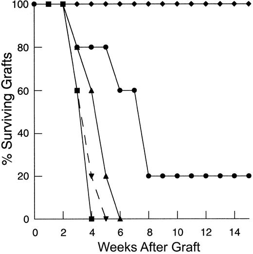 Fig. 7. Lack of IL-7 signaling in APCs leads to a partial abrogation of the effect of IL-7 in restoring primary responses to HY skin grafts. / TXY/TCD mice were injected with naive LN cells and 1 × 105 enriched dendritic cells from the spleens of male IL-7Rα−/− mice or normal, IL-7Rα+/+males. The rhIL-7 at 5 μg/d or vehicle was initiated on the day of cell injections and continued for 28 days. Male skin grafting was performed on day 21. IL-7Rα−/− APCs are functionally able to induce HY graft rejection in animals receiving a sufficient T-cell inocula (25 × 106) with vehicle (▪, n = 5) at a rate analogous to thymus-bearing animals receiving enriched IL-7Rα+/+ dendritic cells (▾, n = 5). Mice receiving an insufficient LN inocula (1 × 106) with vehicle are completely unable to reject these grafts (♦, n = 6). Mice injected with a suboptimal T-cell inocula, sensitized with IL-7R−/− APCs and given rhIL-7 (●, n = 11) rejected HY-disparate skin grafts but significantly slower than mice receiving IL-7Rα+/+ dendritic cells (▴, n = 10,P = .006).