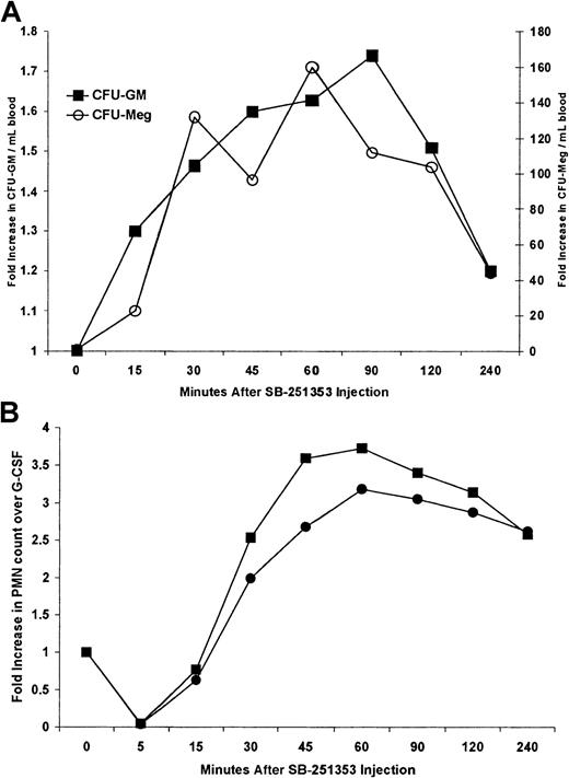 Fig. 6. Combination of a single SQ dose of SB-251353 after G-CSF treatment in Rhesus monkeys. / (A) Effects of the combination of 10 μg/kg G-CSF SQ for 4 days and a single SQ injection of 250 μg/kg SB-251353 on CFU mobilization in rhesus monkeys. Data represent the kinetics of mobilized CFU-GM (▪) and CFU-Meg (○) in response to G-CSF in combination with SB-251353, expressed as mean fold increase compared with G-CSF alone for 2 identically treated rhesus monkeys. Baseline and G-CSF–induced blood CFU-GM were on average 117 and 2194 CFU-GM/mL, respectively. There were no CFU-Meg colonies detected at baseline or after G-CSF treatment. Fold increases in CFU-Meg assumed a baseline of 1 CFU/mL. (B) Neutrophil counts following a single SQ injection of 250 μg/kg SB-251353 in G-CSF–pretreated rhesus monkeys. Two G-CSF–pretreated monkeys (10 μg/kg/d SQ for 4 days) were injected with a single dose of SB-251353 24 hours after the last G-CSF dose. Neutrophil counts were obtained at baseline (before G-CSF therapy began, 1.68 and 1.34 × 106 cells per mL, respectively) and immediately before SB-251353 injection (after G-CSF pretreatment, 16.51 and 7.52 × 106 cells per mL, respectively). Data are presented as the fold increase in neutrophil counts compared with G-CSF alone at the indicated times after SB-251353 administration.
