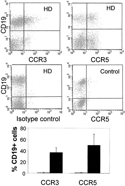 Fig. 3. CCR3 and CCR5 expression in B lymphocytes. / Top: Double-staining of CD19+ B lymphocytes, freshly isolated from lymph nodes involved by HD with antibodies directed against CCR3 and CCR5 (upper diagrams), as well as isotype-matched controls (lower left diagram). No double-positive CD19/CCR5 cells were detected in control lymph nodes (lower right diagram). Results of 1 representative experiment of 5 are shown. Bottom: Percentage of CD19+ cells expressing CCR5 and CCR3 in HD (▪) and control lymph nodes (■). The figure represents the mean percentage (SE) of stained cells of 5 distinct experiments.