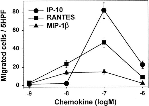 Fig. 5. Migration assays in vitro. / Chemokine-induced in vitro migration of leukocytes from lymph nodes with HD. Shown are the mean numbers (SE) of migrated cells per 5 high-power fields (triplicate wells) (5HPF) in the presence of increasing molar (M) concentrations of IP-10, RANTES, and MIP-1β. PHA-activated peripheral blood lymphocytes were used as a positive control to confirm the functionality of the migration assay.