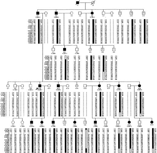 Fig. 1. Pedigree of the family with the inherited bleeding disorder. / Closed symbol indicates affected; open symbol, unaffected; and open symbol with ?, disease status unknown. The PT and aPTT are indicated after the generation and family number; ND indicates not determined. Genetic haplotypes are indicated for all individuals who were genotyped. The filled black bar indicates the haplotype cosegregating with the disease. Recombinations are indicated by open bars.