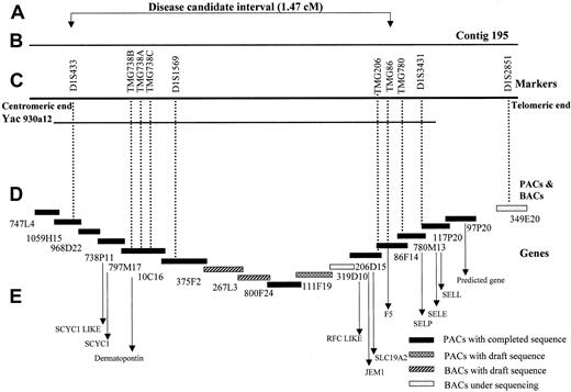 Fig. 2. Genomic organization of the bleeding disorder candidate region. / (A) The critical region for the disease gene between the markers D1S433 and TMG86 spanning an interval of 1.47 cM. (B) The region covered by the PAC contig 195 from the Sanger Center. (C) The markers used for genotyping (D), PACs, and BACs included in the contig 195, representing the tiling path. The contig contains mainly Sanger Centre clones, with minor gaps filled by BACs from other centers (267L3, Whitehead Institute/MIT Genome Center, Cambridge, MA, and 319D10, Washington University Genome Sequencing Center, St Louis, MO). Black boxes, PACs with completed and fully analyzed sequences; patterned boxes, PACs and BACs with working draft sequences; and grey boxes, BACs in the initial stages of sequencing. (E) The candidate genes in the critical region.