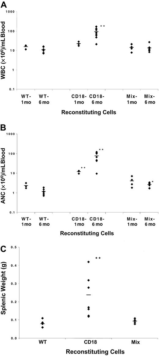 Fig. 1. Myeloid hyperplasia is inhibited by the presence of WT hematopoietic cells. / (A) WBC counts of reconstituted animals 1 and 6 months after transplantation. WT refers to animals that received only WT fetal liver cells, CD18 to animals that received only CD18-deficient fetal liver cells, and Mix to animals that received 50:50 mixtures of WT and CD18-deficient fetal liver cells. (B) Absolute neutrophil counts of reconstituted animals 1 and 6 months after transplantation. (C) Splenic weights of reconstituted animals 6 months after transplantation. *, increase in Mix is significant (P < .05) compared with WT at same time point. **, increase in CD18 is significant (P < .05) compared with WT or Mix at same time point.