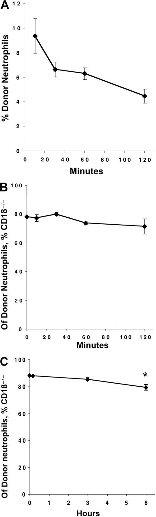 Fig. 3. The circulating life spans of CD18-deficient neutrophils is not increased compared with WT. / C57BL/6-CD45.1 host animals were injected intravenously with mixtures of blood collected from WT and CD18-deficient animals. (A) The numbers of blood neutrophils (Gr-1bright), which were of donor origin (CD45.2+), were determined by counting and flow cytometry at the indicated time points after injection. (B, C) The percentage of donor neutrophils (CD45.2+, Gr-1bright) that were CD18-deficient (CD11a−) was determined by flow cytometry at the indicated time points. The data point at time 0 refers to the percentage of CD18-deficient neutrophils in the original mixture before injection into the host animal. * indicates significant (P < .05) decrease in the percentage of CD18-deficient neutrophils compared with the earlier time points. Each point represents the mean ± SEM for 4 host mice.