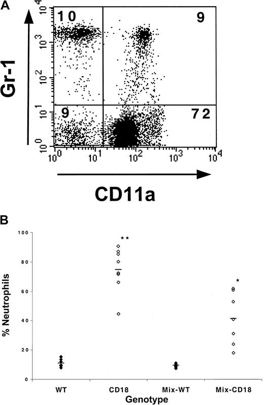 Fig. 4. WT WBCs only partially prevent the increase in CD18-deficient leukocytes that are neutrophils. / (A) To determine the percentage of WT or CD18-deficient leukocytes that were Gr-1+, blood leukocytes were stained and analyzed by flow cytometry as described in the text. The dot plot is an example of blood leukocytes derived from a CD45.1+ host that had received a 1:1 mixture of WT and CD18-deficient fetal liver cells 6 months previously. The plot shows the CD11a and Gr-1 staining profiles of CD45.2+ cells that fall within the forward- and side-scatter leukocyte gate. The percentage of cells that fall within each quadrant is shown. (B) The percentage of WT or CD18-deficient leukocytes that were neutrophils was determined by flow cytometry. WT and CD18 refer to WT or CD18-deficient leukocytes from host animals that had received either WT or CD18−/− fetal liver cells alone. Mix-WT and Mix-CD18 refers to WT and CD18−/−leukocyte populations, respectively, from animals that had received mixtures of both WT and CD18-deficient fetal liver cells. *, increase in the percentage of Mix-CD18 is significant (P < .05) compared with WT or Mix-WT. **, increase in CD18 is significant (P < .05) compared with WT, Mix-WT, and Mix-CD18.