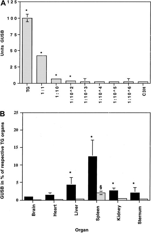 Fig. 2. Detection of GUSB activity in TG donor cells against the C3H background. / (A) Cell dilutions were prepared by mixing TG and C3H spleen cells to determine the proportion of TG donor cells needed to produce a significant difference in enzyme concentrations when compared with undiluted C3H spleen cells. Error bars (SEM) are drawn on all data points but were too small to be visible on some. *Statistically significant difference (P < .05). (B) Enzyme activity is expressed as the percentage of age-matched TG tissues (100%) above untreated age-matched baseline C3H tissues (0%). Enriched (AA4.1) (▪) and nonenriched (░) uncultured TG fetal liver cells were transplanted into C3H fetuses at 1 × 106nonenriched cells and 1 × 105 enriched cells per fetus. A 50-fold enrichment was achieved, thus resulting in a 5-fold increase in the total number of hematopoietic stem and progenitor cells transplanted. *Significant (P < .05) between the enriched and nonenriched group. §Significant (P < .05) between the nonenriched and the untreated control group.