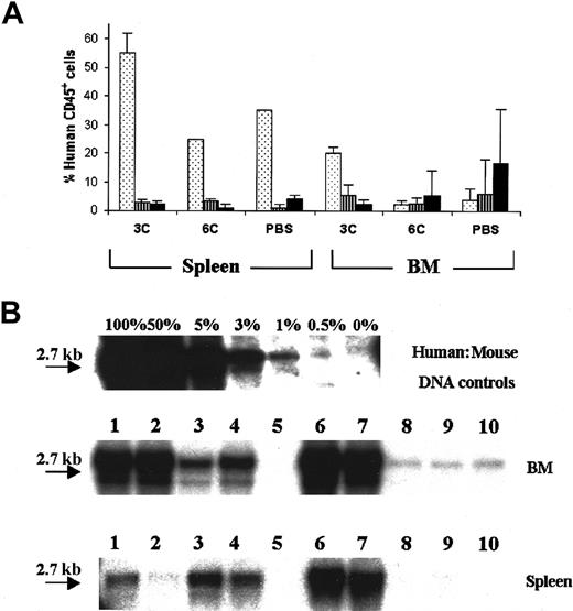 Fig. 2. Localization of human hematopoiesis in NOD/SCID mice. / (A) Detection of human engraftment by flow cytometry of human CD45 in the BM and spleen of NOD/SCID mice (n = 30) transplanted with 0.6 × 106 CD34+ PBSCs and killed 2 (), 4 (), and 8 (▪) weeks after transplantation. (B) Detection of human engraftment in the BM and spleen of NOD/SCID mice (n = 10) by Southern blot analysis at week 8 after transplantation. Each lane (1-10) represents a single mouse. Human:mouse DNA controls are given as percent human DNA.