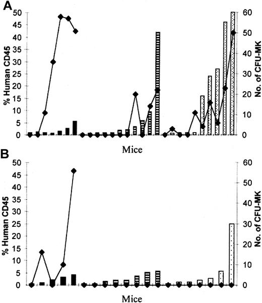 Fig. 5. Demonstration of human CFU-MK in NOD/SCID hematopoietic organs. / Direct correlation between the percentage of human CD45+cells (columns) and the number of CFU-MK colonies (lines) generated from 2 × 106 BM cells from mice transplanted with 0.6 × 106 CD34+ PBSCs and analyzed 2 (black columns), 4 (striped columns), and 8 (dotted columns) weeks after transplantation. (A) PBS group. (B) 6C group.