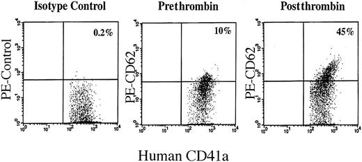 Fig. 8. Thrombin activation of human platelets produced by engrafted NOD/SCID mice. / Shown are dot blots of human platelets from transplanted mice before and after thrombin stimulation. On the x-axis is FITC–anti-CD41a, which is present on all human platelets and not on murine platelets. The y-axis is PE–anti-CD62, which is expressed only on activated platelets.
