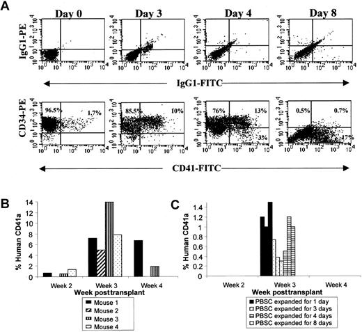 Fig. 9. Ex vivo expansion of human CD34+ PBSCs cultured in serum-free media in the presence of TPO, SCF, IL-3, IL-6, IL-11, and Fl3 and platelet production in NOD/SCID mice. / Human CD34+ PBSCs were transplanted before (day 0) and after 1, 3, 4, and 8 days of in vitro stimulation with TPO, SCF, IL-3, IL-6, IL-11, and Fl3. Mice were serially bled at weeks 2, 3, and 4 after transplantation. The transplant was performed without exogenous cytokines. BM and spleen cells were analyzed for human engraftment at week 4. (A) Uncultured (day 0) or cultured (days 3-8) human CD34+ PBSCs were analyzed using PE–anti-CD34 and FITC–anti-CD41. Isotype controls for each time point are shown in the upper panel. CD34/CD41 phenotypes are shown in the lower panel. The percentage of each subpopulation is indicated. (B) Human platelet production in 4 mice transplanted with human CD34+ PBSCs prior to expansion (day 0). Evidence of human engraftment at week 4 was only detected in mice 1 and 3. (C) Human platelet production in mice that received human CD34+ PBSCs that had been expanded for 1 (black), 3 (dotted), 4 (striped), or 8 (clear) days. Each column represents an individual mouse. No human platelets were detected at weeks 2 or 4.