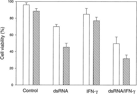 Fig. 1. FANCC−/− MEFs are hypersensitive to apoptosis induced by IFN-γ and dsRNA. / Equivalent numbers of cells were incubated with murine recombinant IFN-γ (10 ng/mL) for 15 hours, followed by transfection with or without 100 μg/mL of poly(I).poly(C) in the presence of LipofectAmine. Mock exposed cells were incubated with LipofectAmine only. After 24 hours, cells were subjected to viability determination by trypan blue exclusion assay. ▧, FANCC−/−; ■, FANCC+/+. Data are the mean ± standard deviations of triplicate determinations.