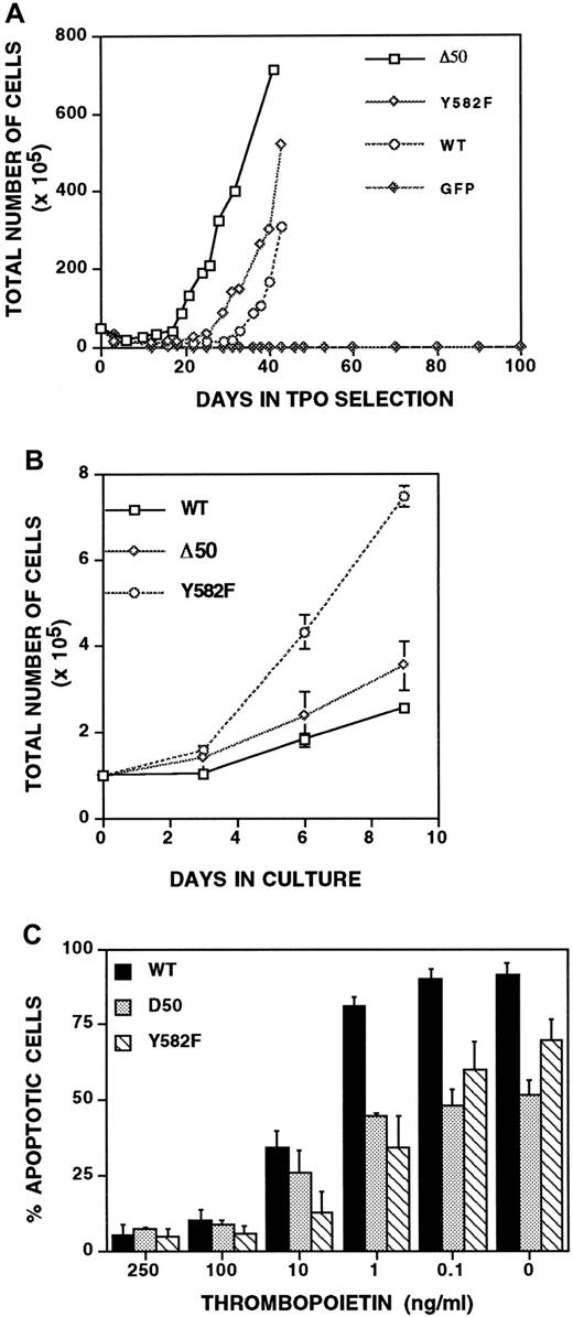 Fig. 5. MplY582F has a proliferative advantage over wild-type Mpl. / (A) Growth curves of unfractionatedGPIIb-tva+mpl−/− bone marrow grown in TPO-containing media after infection with RCAS-Mpl, RCAS-MplY582F, RCAS-MplΔ50, or RCAS-GFP. (B) Plating equal numbers of TPO-responsiveGPIIb-tva+mpl−/− bone marrow cells expressing wild-type Mpl, MplY582F, or MplΔ50 demonstrates a clear proliferative advantage imparted by the Y582F mutation. (C) Percentage of apoptotic cells at various h-TPO concentrations was determined for cells expressing Mpl, MplY582F, and MplΔ50. The percentage of apoptotic cells includes all cells that stain with FITC-conjugated anti-annexin V antibody, annexin V+/PI− and annexin V+/PI+ cells. Results are the average and standard deviation of 3 to 5 independent experiments for each Mpl construct.