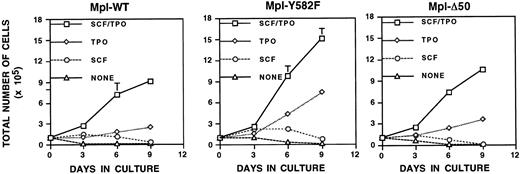 Fig. 6. Stem cell factor lacks an independent proliferative effect yet is synergistic with TPO-induced proliferation in primary megakaryocyte-lineage cells. / TPO-responsive GPIIb-tva+mpl−/−bone marrow cells expressing Mpl, MplY582F, and MplΔ50 were grown in the presence of 10 ng/mL SCF and 250 ng/mL h-TPO, 250 ng/mL h-TPO, 10 ng/mL SCF, or no added cytokine, and total cell counts were recorded on the days indicated. Each point represents the average of 3 independent experiments.