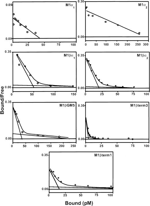 Fig. 2. Scatchard analysis of 125I-labeled rhGM-CSF binding to M1 cells expressing α and βc subunits of GM-CSF receptor. / Cells were incubated with decreasing concentrations of labeled rhGM-CSF in the presence or absence of 100-fold excess of unlabeled rhGM-CSF, on ice for 3 hours. Bound and free rhGM-CSF fractions were separated by centrifugation through fetal calf serum. The bound and free fractions were quantitated in a gamma-counter. Scatchard transformation of the data was performed assuming 100% binding ability of labeled ligand. Graphs show representative curves from a single pool of transduced cells. At least 3 pools were produced for each receptor combination.