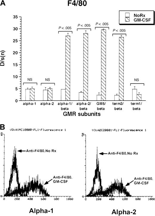 Fig. 3. Expression of F4/80 antigen in rhGM-CSF–treated M1 cells expressing α or βc subunits, or both, of GM-CSF receptor. / Cells were incubated with rhGM-CSF 100 ng/mL for 3 days, then analyzed by flow cytometry using anti-F4/80 or an irrelevant isotype-matched control antibody. (A) Bars show mean ± SD of D/s(n) (derived from Kolmogorov-Smirnoff analysis) of 3 independently derived pools. (B) Histograms of F4/80 fluorescence with or without rhGM-CSF treatment in M1/βc/α-1 (left) and M1/βc/α-2 (right) cells.