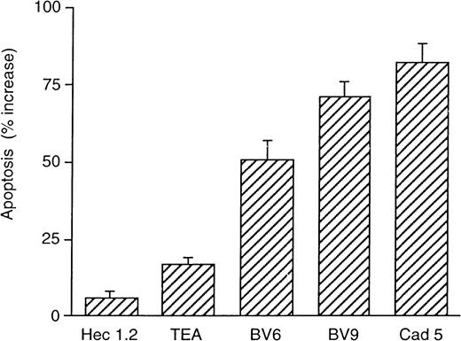 Fig. 3. Monoclonal antibodies directed to VE-cadherin prevent the protective effect of VEGF on endothelial cell apoptosis. / Endothelial cells were maintained without serum in the absence or presence of mAbs for 48 hours; 63% ± 7% control cells underwent apoptosis, and this percentage was not significantly modified by addition of the mAbs (not shown). When VEGF (30 ng/mL) was included in the absence of mAbs, apoptotic endothelial cells decreased to 31% ± 2%. Addition of the mAbs together with VEGF increased the apoptotic index. The values in the figure are expressed as percentage increase in apoptosis in comparison to cells cultured in absence of the mAbs and in the presence of VEGF. Data are means ± SEM of 4 replicates from a typical experiment out of 4 performed.