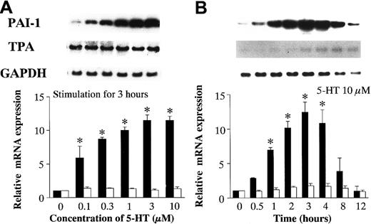 Fig. 2. Effects of 5-HT on PAI-1 and TPA mRNA expression. / (A) Dose-dependent effects of 5-HT. (B) Time-dependent effects of 5-HT. Graph showing relative PAI-1 (▪) and TPA (■) mRNA expression represents the fold increase in corrected PAI-1 and TPA mRNA expression compared to vehicle-treated controls, respectively. Each bar represents the mean ± SEM of 3 independent experiments (*P < .05 versus vehicle-treated controls).