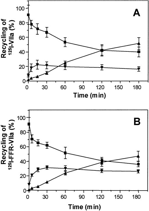 Fig. 6. Recycling of internalized VIIa. / Confluent monolayers of BHK(TF) cells were allowed to internalize 10 nM 125I-VIIa or 125I-FFR-VIIa for 1 hour. Thereafter, the cell surface–associated radioactivity was removed by a low-pH glycine wash. After the glycine wash, the monolayers were washed 3 times with buffer B and then incubated with buffer B for various times at 37°C for recycling of (A) 125I-VIIa or (B)125I-FFR-VIIa. Total radioactivity in the internalized pool measured after the first glycine wash was set to 100%. Subsequent measurement of radioactivity at various time points of the residual internalized pool (▪), recycled intact protein (▾), and recycled degraded protein (▴) was performed as described in “Materials and methods.” Data are the mean ± SD of 3 independent experiments in triplicate.