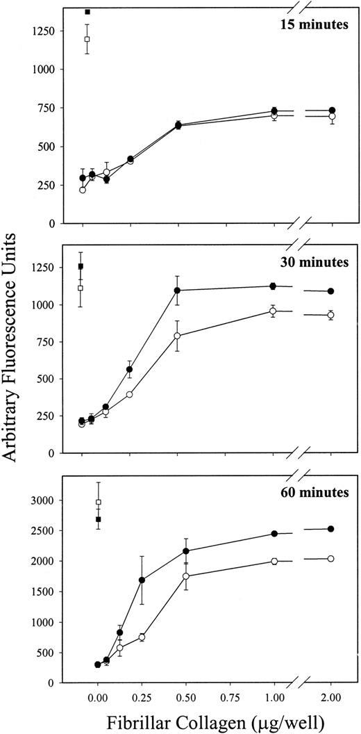 Fig. 1. PECAM-1−/− platelets demonstrate increased adhesion to immobilized fibrillar collagen in the absence of Mg2+. / Calcine am-loaded platelets derived from wild-type (open symbols) and PECAM-1−/− (closed symbols) mice were allowed to adhere, in the absence of Mg2+, to plates coated with increasing concentrations of fibrillar collagen (circles) or to plates coated with a constant concentration of polyL-lysine (squares) for 15, 30, or 60 minutes at 37°C. Wild-type and PECAM-1−/− platelets were labeled to a similar extent with calcine am (not shown). After removal of nonadherent platelets, fluorescence associated with adherent platelets was measured as described in “Materials and methods.” Each assay was performed in triplicate, and each data point represents the mean of triplicate measurements ± SD. Similar results were obtained from 3 independent experiments. Note that wild-type and PECAM-1−/− platelets bound to a similar extent to polyL-lysine–coated plates, whereas at later time points, higher levels of adhesion to fibrillar collagen, in the absence of Mg2+, was observed in PECAM-1−/− platelets relative to the wild-type platelets.