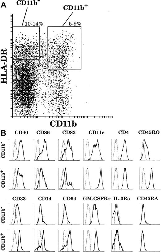 Fig. 2. The surface phenotype of thymic DCs. / (A) By means of 4-color analysis, DCs were gated as HLA-DRhigh(Cy5)CD11b− (Texas Red) and HLA-DRhigh/intCD11b+. (B) Both fractions were then analyzed by means of FITC and PE channels. Particular cases: CD86 and IL-3Rα expressions were revealed in Texas-Red after the gating was carried out with FITC-conjugated anti-CD11b antibody. This analysis is representative of 6 separate thymus samples.