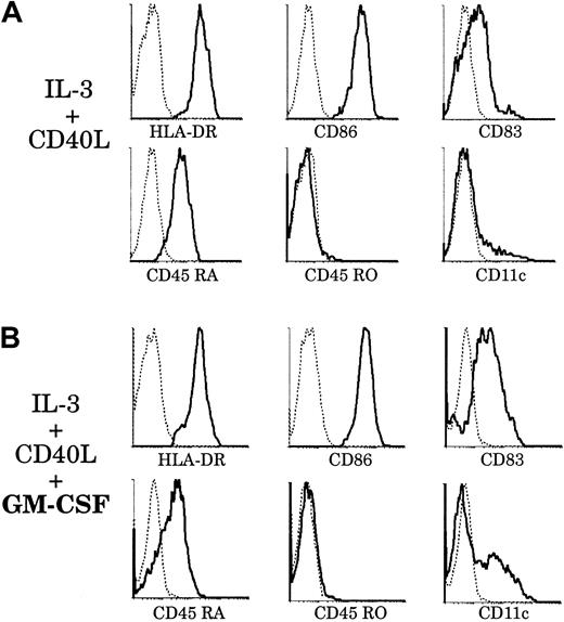 Fig. 9. Effect of GM-CSF on thymic plasmacytoid cells. / Upon culture with GM-CSF, thymic plasmacytoid cells acquire a phenotype resembling that of thymic CD11b− DCs. Thymic plasmacytoid cells were sorted as shown in Figure 8A and cultured for 6 days, with (panel B) or without (panel A) GM-CSF. (A) After 6 days of culture with IL-3 and soluble CD40L, plasmacytoid cells differentiated into DCs and up-regulated HLA-DR, CD86, and CD83. They retained CD45RA expression and were still negative for CD45RO and CD11c. (B) When cultured with IL-3, soluble CD40L, and GM-CSF, plasmacytoid-derived DCs expressed higher levels of CD86 and CD83. A fraction down-regulated CD45RA and acquired CD11c expression. This figure is representative of 3 experiments.