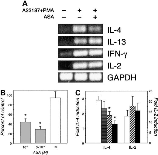 Fig. 3. Inhibition of IL-4 gene transcription in CD4+ T cells by salicylates. / (A) Purified PBT (≥ 97% CD3+CD4+) were treated with ASA (10−3 M) or the corresponding amount of DMSO carrier (0.1%) before stimulation with A23187 (0.5 μg/mL) and PMA (10 ng/mL) for 6 hours. Shown are the results of RT-PCR of total RNA extracted in a typical experiment using primers specific for the indicated cytokine gene transcripts. Shown as an RNA integrity and loading control is the expression of transcripts of the GAPDH gene. Similar results were obtained in 3 identical experiments using ASA or SA. (B) Real-time RT-PCR analysis of IL-4 RNA expression in purified PBT incubated in the presence of the indicated concentrations of ASA or with 10−5 M IM before stimulation with A23187 (0.5 μg/mL) and PMA (10 ng/mL) for 6 hours. Standard curves for IL-4 and GAPDH were generated by serial dilutions of PBT total RNA in separate experiments (data not shown). The relative IL-4 RNA levels were calculated. Shown is the mean ± SEM percentage of control IL-4 expression (corresponding to 2-ΔΔCT × 100) in 3 independent experiments done in duplicate. The asterisk indicatesP < .05 relative to DMSO-treated controls. (C) Jurkat T cells transiently transfected with the IL-4.265 or IL-2.312 CAT reporter plasmids were treated (15 minutes) with the indicated concentrations of ASA (, 10−5 M;, 10−4 M; ▪, 10−3 M) or corresponding amounts of DMSO (■) before 20-hour stimulation with A23187 (0.5 μg/mL) with (IL-2) or without (IL-4) PMA (10 ng/mL). Data are expressed as fold induction of intracellular CAT relative to unstimulated controls and are the mean ± SEM results from 4 independent experiments done in duplicate. The asterisk indicates P < .05 (Wilcoxon test) relative to DMSO-treated controls.