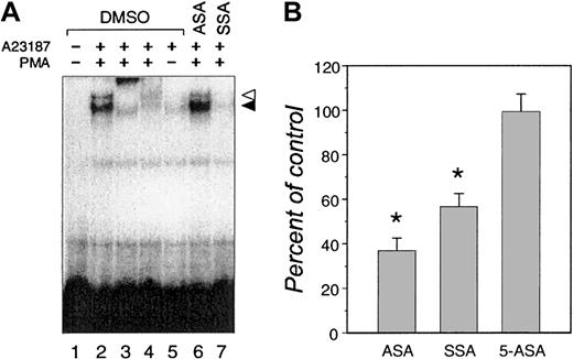 Fig. 4. Comparison of the effects of ASA and SSA on NF-κB activation in Jurkat cells. / (A) Cells were treated with ASA (2 × 10−3 M), SSA (2 × 10−3 M), or corresponding amounts of DMSO carrier before stimulation with A23187 (0.5 μg/mL) with or without PMA (10 ng/mL) for 2 hours. Nuclear extracts from each sample were incubated with a radiolabeled consensus NF-κB oligonucleotide. The arrows indicate 2 complexes induced by stimulation with A23187 and PMA (lane 2) but not A23187 alone (lane 5). Both complexes contained NF-κB molecular species as detected by coincubation with anti-p65 (lane 3) or anti-p50 antibodies (lane 4). (B) Jurkat cells transiently transfected with the IL-4.265 plasmid were treated (15 minutes) with ASA (2 × 10−3 M), SSA (2 × 10−3 M), 5-ASA (2 × 10−3 M), or corresponding amounts of DMSO before 20-hour stimulation with A23187 (0.5 μg/mL). The mean ± SEM percentage of control CAT expression in 4 independent experiments done in duplicate is shown. The asterisk indicates P < .05 (Wilcoxon test) relative to samples treated with DMSO.