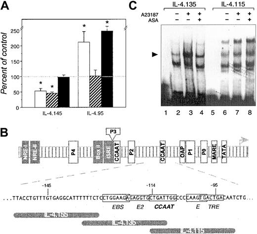 Fig. 5. Identification of a salicylate-responsive region in the human IL-4 promoter. / (A) Jurkat cells transiently transfected with the indicated human IL-4 promoter deletional constructs were treated with ASA (■, 10−3 M), SA (▨, 10−3 M), or FBP (▪, 10−5 M) before 20-hour stimulation with 0.5 μg/mL A23187. The mean ± SEM percentage of control A23187-induced CAT expression (broken horizontal line) in 3 independent experiments is shown. The asterisk indicates P < .05 (Wilcoxon test) relative to DMSO-treated controls. (B) Schematic representation of the human IL-4 promoter and the sequence required for its inhibition by salicylates. Open and solid boxes indicate the relative positions of positive and negative regulatory elements, respectively, that have been identified. ISRE indicates IFN stimulation-response element; MARE, c-Maf response element; NRE, negative regulatory element; and OAP, octamer-associated protein. Schematically shown below are 3 oligonucleotides (IL-4.155, IL-4.135, and IL-4.115), spanning putative promoter elements in the salicylate-targeted region, that were used as probes in EMSAs. TRE indicates tetradecanoylphorbol acetate–response element. (C) Jurkat cells were treated with ASA (10−3 M; lanes 4 and 8) or DMSO carrier (lanes 2, 3, 6, and 7) before stimulation with A23187 (0.5 μg/mL) for 2 hours. Nuclear extracts were incubated with labeled IL-4.155 (data not shown), IL-4.135, or IL-4.115 oligonucleotides. The arrow at left indicates an A23187-induced IL-4.135–binding complex whose formation was markedly reduced in cells treated with ASA (lanes 3 and 4).