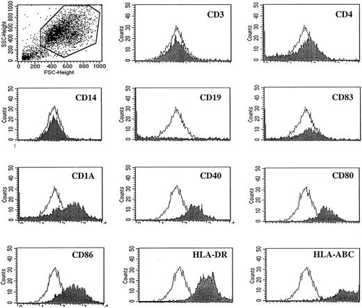 Fig. 1. Flow cytometry analysis. / Histograms with closed areas depict DCs expressing different surface markers. Histograms with open areas depict staining with isotype-matched control antibody. Gate was set on the big cell population. These results are representative of at least 6 independent experiments.